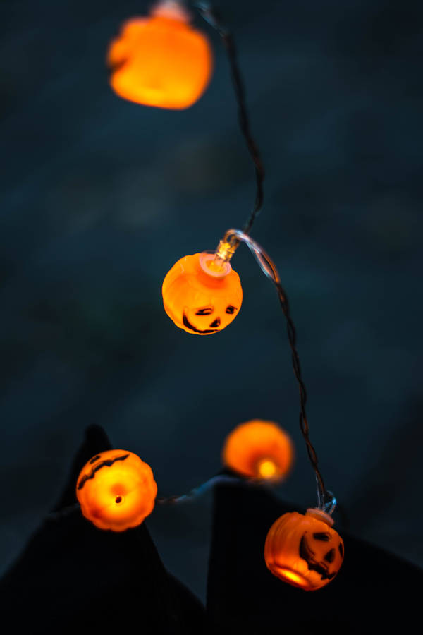 Download Halloween Jack O Lantern Wallpaper