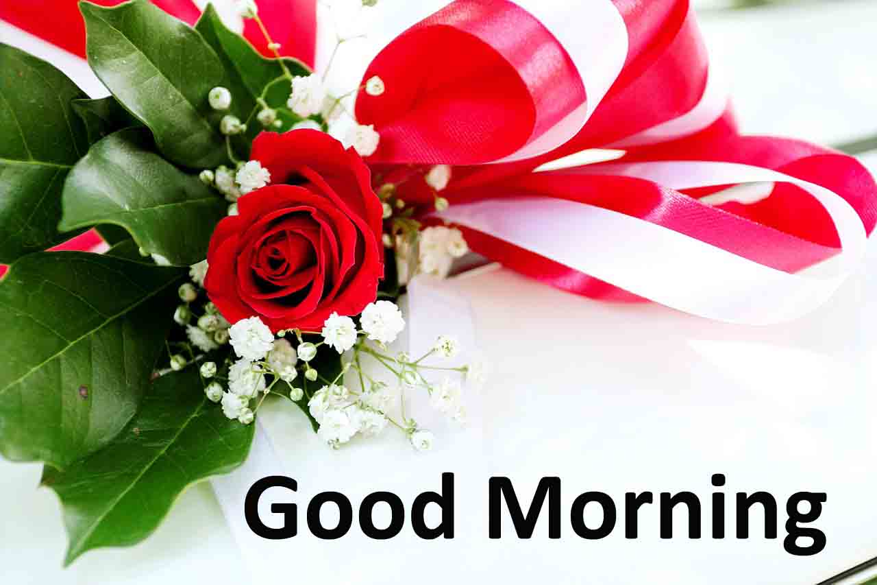 Good Morning Images Beautiful Good Morning Quotes Download