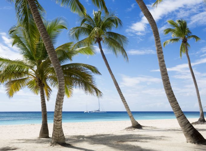 Download Jamaika 5k 4k wallpaper The Caribbean beach palms sky
