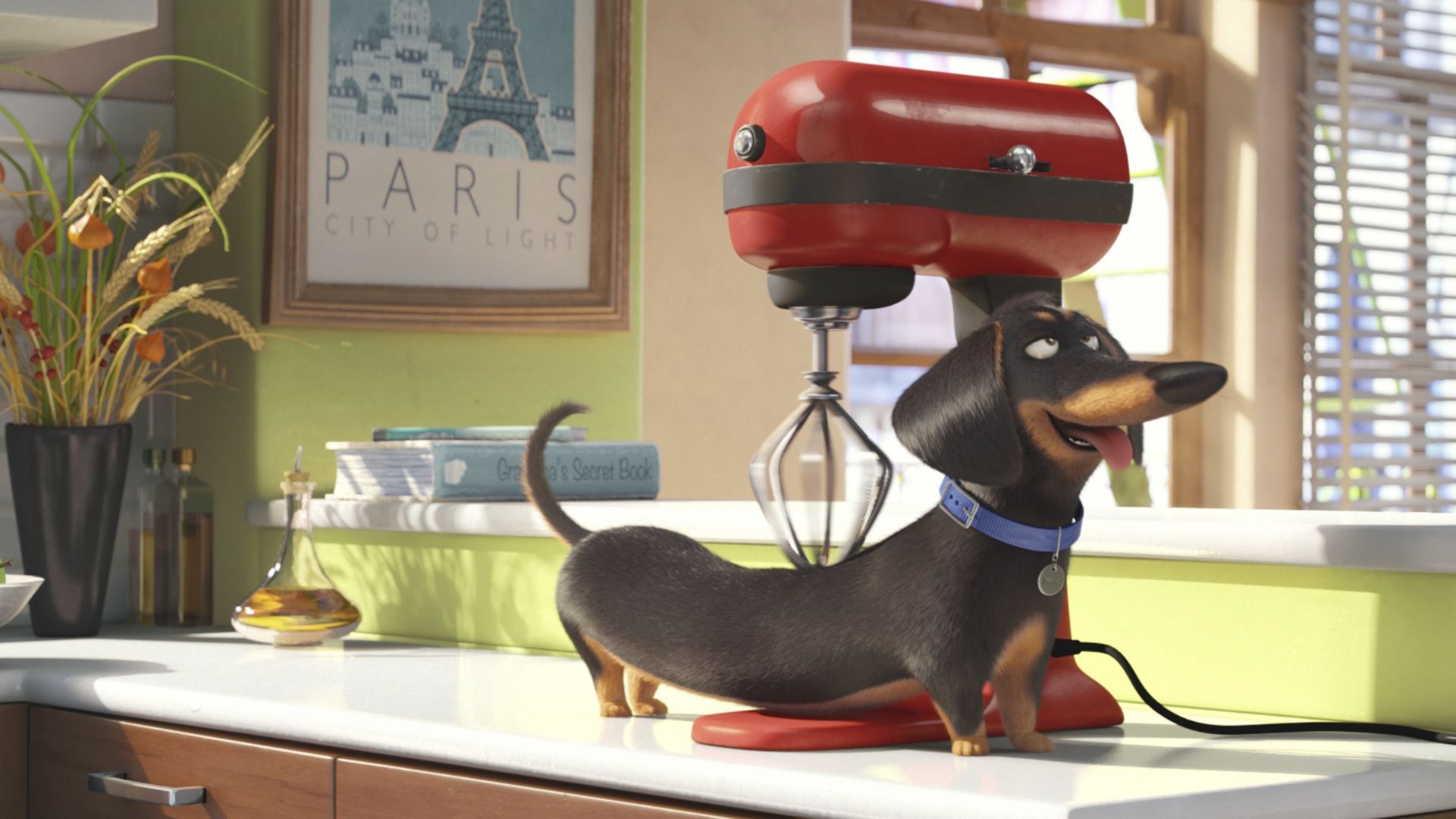Download The Secret Life of Pets Best Animation Movies of