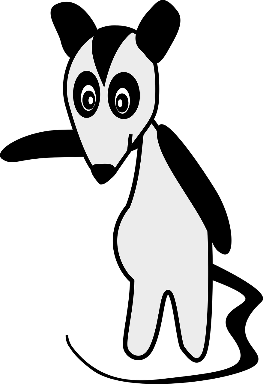 Skunk PNG Photo Clip Art Image