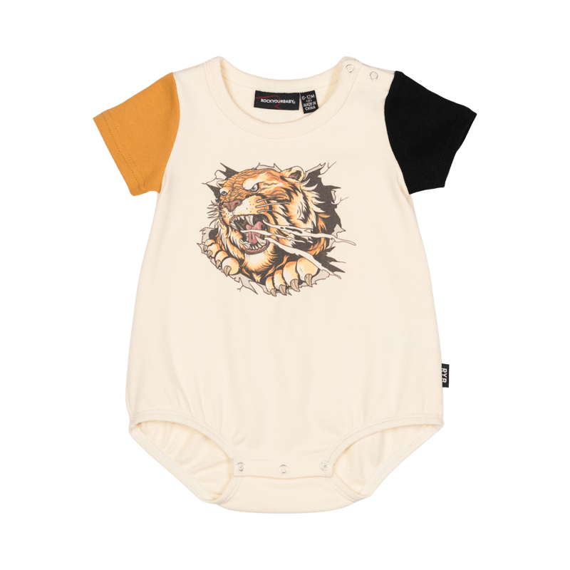 Baby Tiger PNG Isolated Pic