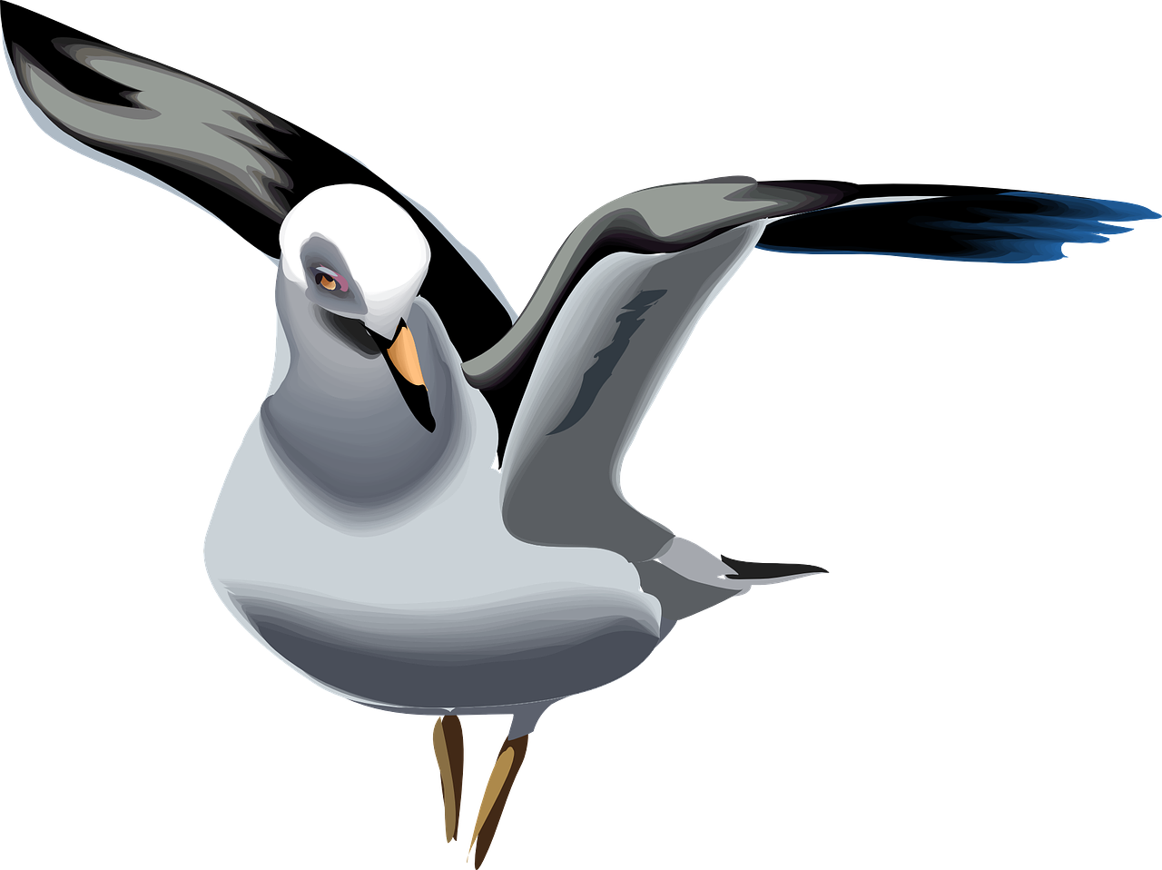 Seagulls PNG Pic Background