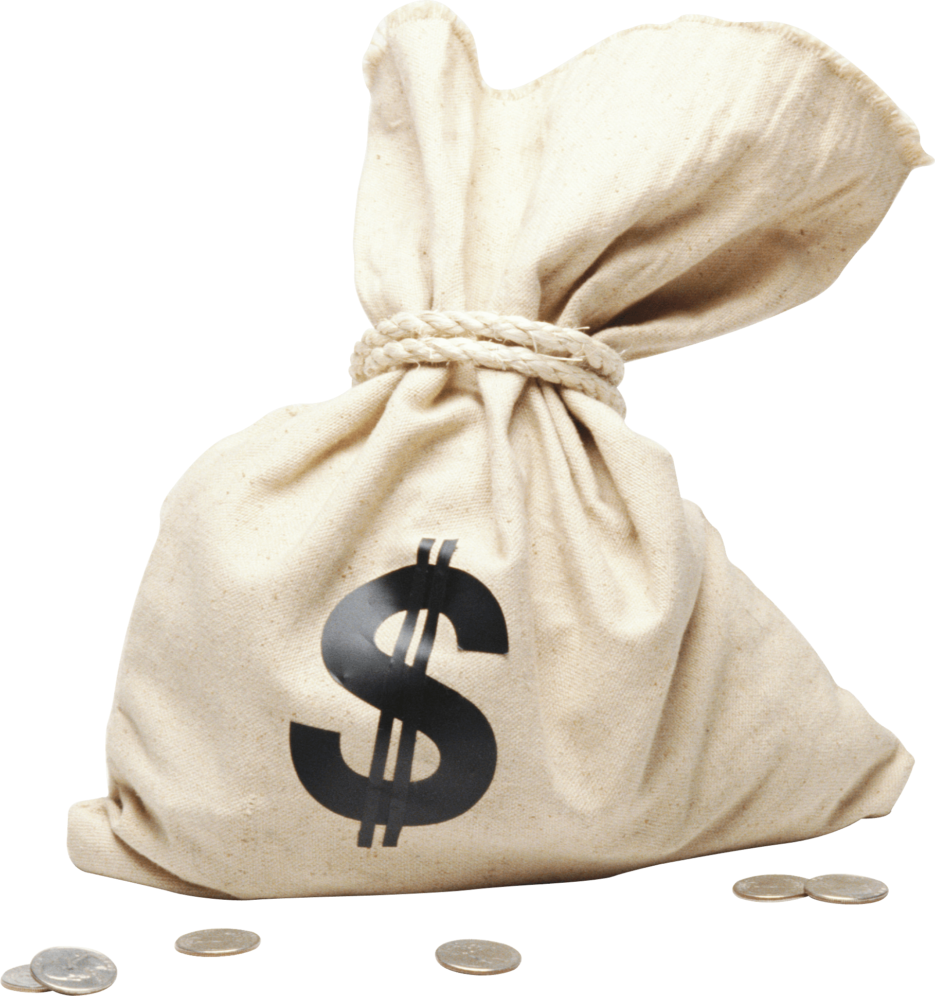 Bag of Money White PNG