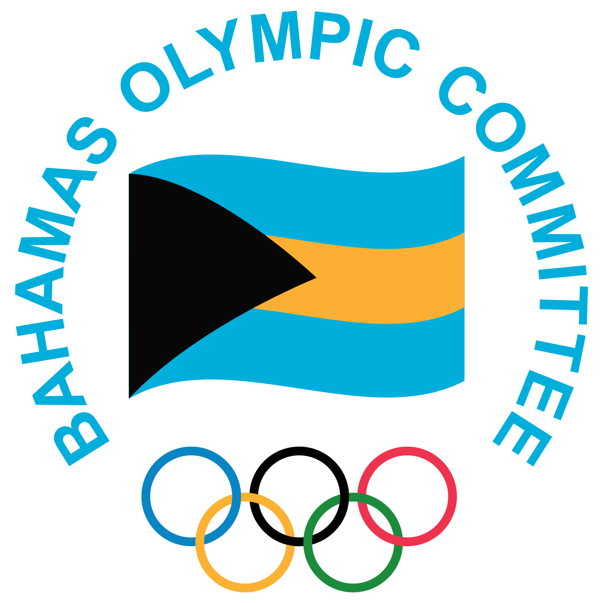 Paris Olympics 2024 Logo PNG HD