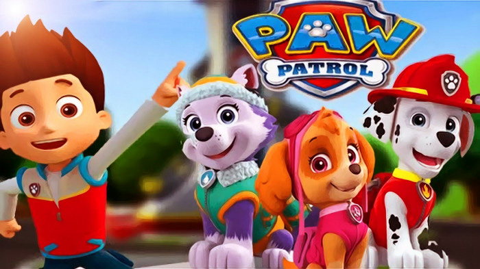 paw patrol 23